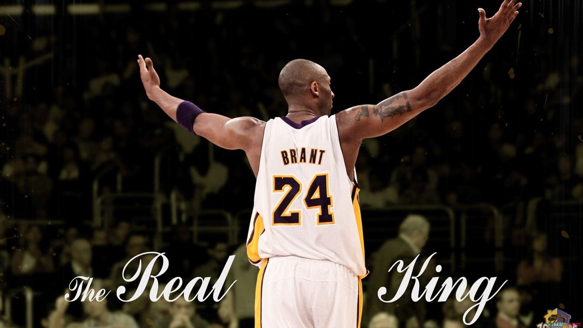 苏格兰橄榄球依靠青训系统崛起，未来更具竞争力，苏格兰场受训