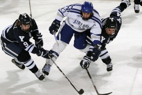 开云中国大陆-灰熊主教练称赞球队拼搏精神，灰熊 主教练