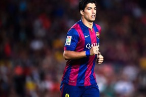 开云入口-女子国家队战绩创新高，中国女子国家队成员